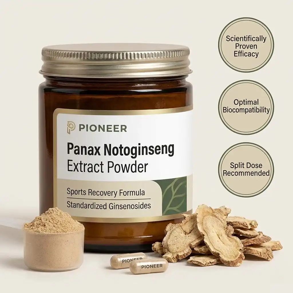 Why Panax Notoginseng Extract Is Popular in Sports Recovery Supplements?